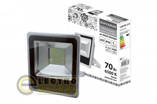 Прожектор светодиодный СДО70-2-Н 70 Вт, 6500 К, серый