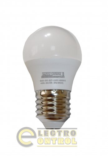 Светодиодная лампа TechnoSystems LED Bulb SILVER 5W TNSy5000607 E27 6500K 450 lm TNSy5000607 G45