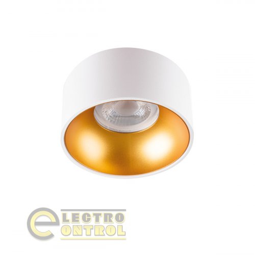 Точковий світильник Kanlux 27576 Mini Riti GU10 W/G