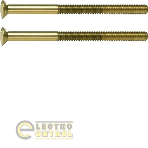 Винт специальный 2xM3.5x50мм, цвет: золотой,  TS Винт специальный 2xM3.5x50мм, цвет: золотой,  TS