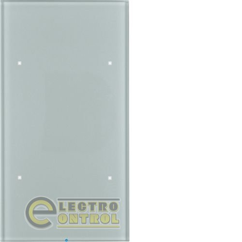 Стеклянный сенсор 2-канальный, "Комфорт", алюминий , TS Sensor