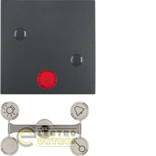 Клавиша 1Х с линзами, прикручивается, антрацит B.х