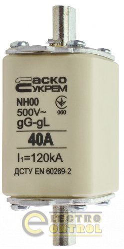 Запобіжник Аско-Укрем A0050010011 ножовий з плавкою вставкою NH00 40A gG