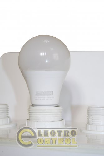 Светодиодная лампа TechnoSystems LED Bulb SILVER 15W TNSy5000605 E27 4000K 1350 lm TNSy5000605 A60