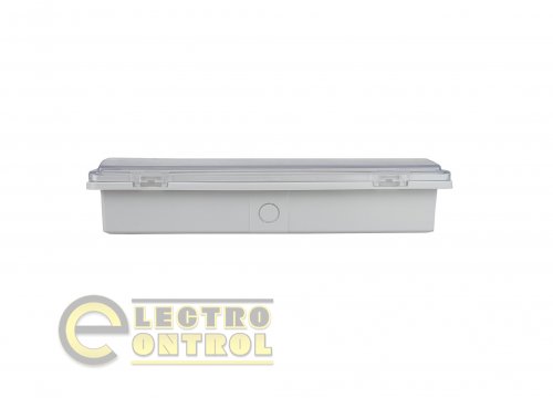 Світильник евакуаційний Technosystems UJ01 2W TNSy5000559 24LED-6500K-3H-200L-IP65